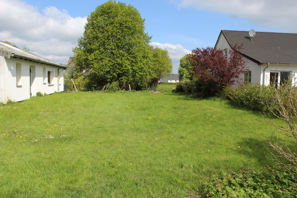 Rasenanlage (Garten)