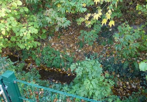 Bachlauf hinter dem Garten