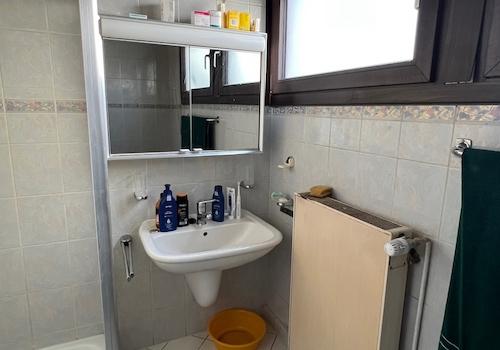 Dusche-WC im Untergeschoss