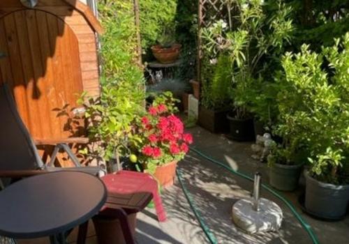 Wohn-Schlafzimmer Terrasse