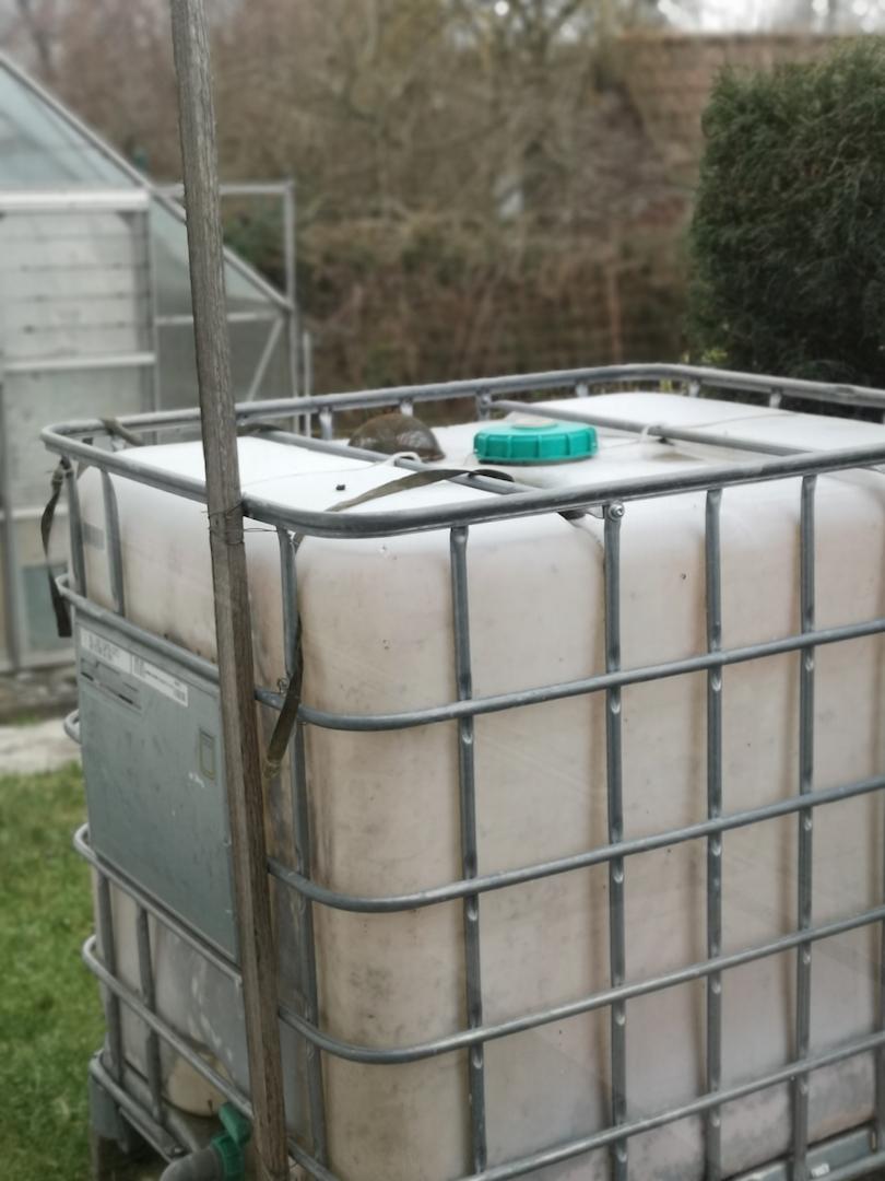 Regenwasserbehälter im Garten