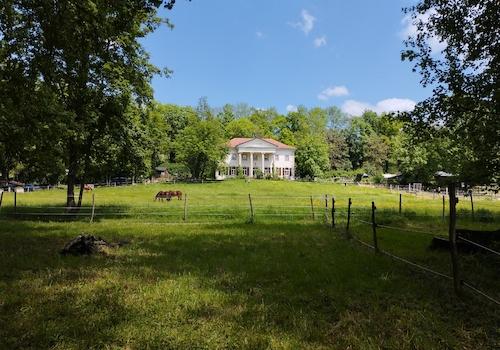 Schlössle (in direkter Nachbarschaft)