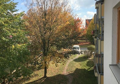 Grünfläche Balkonblick