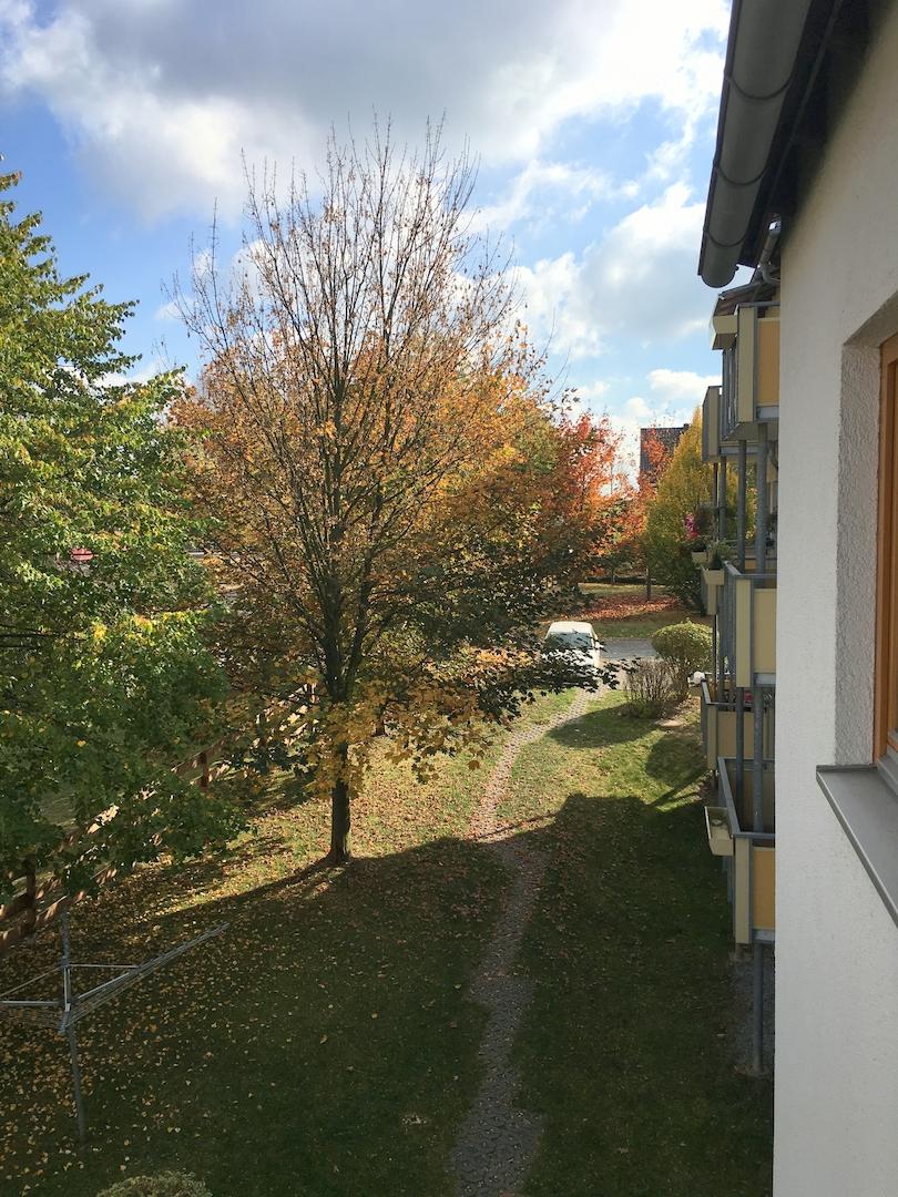 Grünfläche Balkonblick