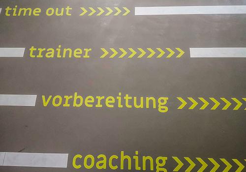 Trainer/ Coaching