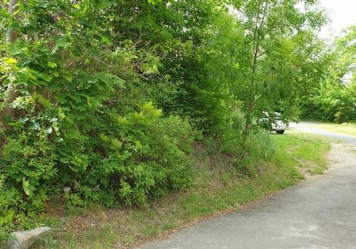 Einfahrt, Grundstück links