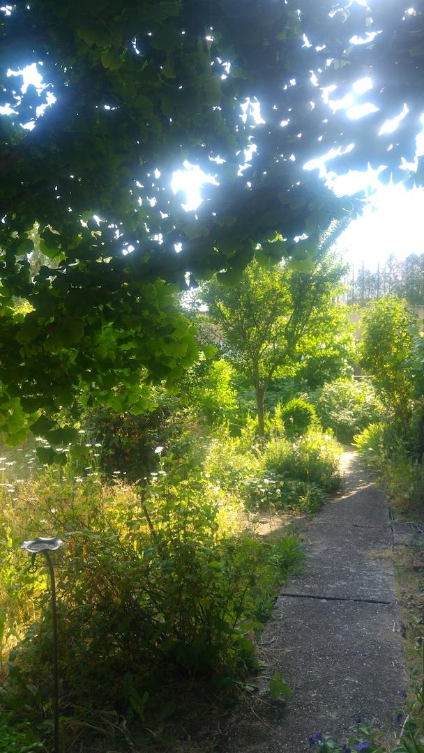 Nutzgarten