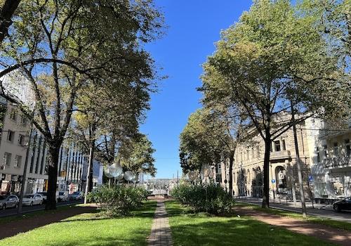 Blick in die Nachbarschaft