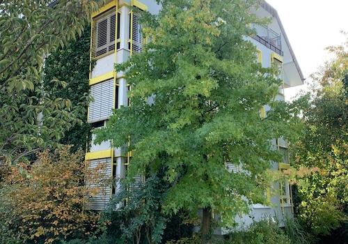 Höhe Nachbargebäude