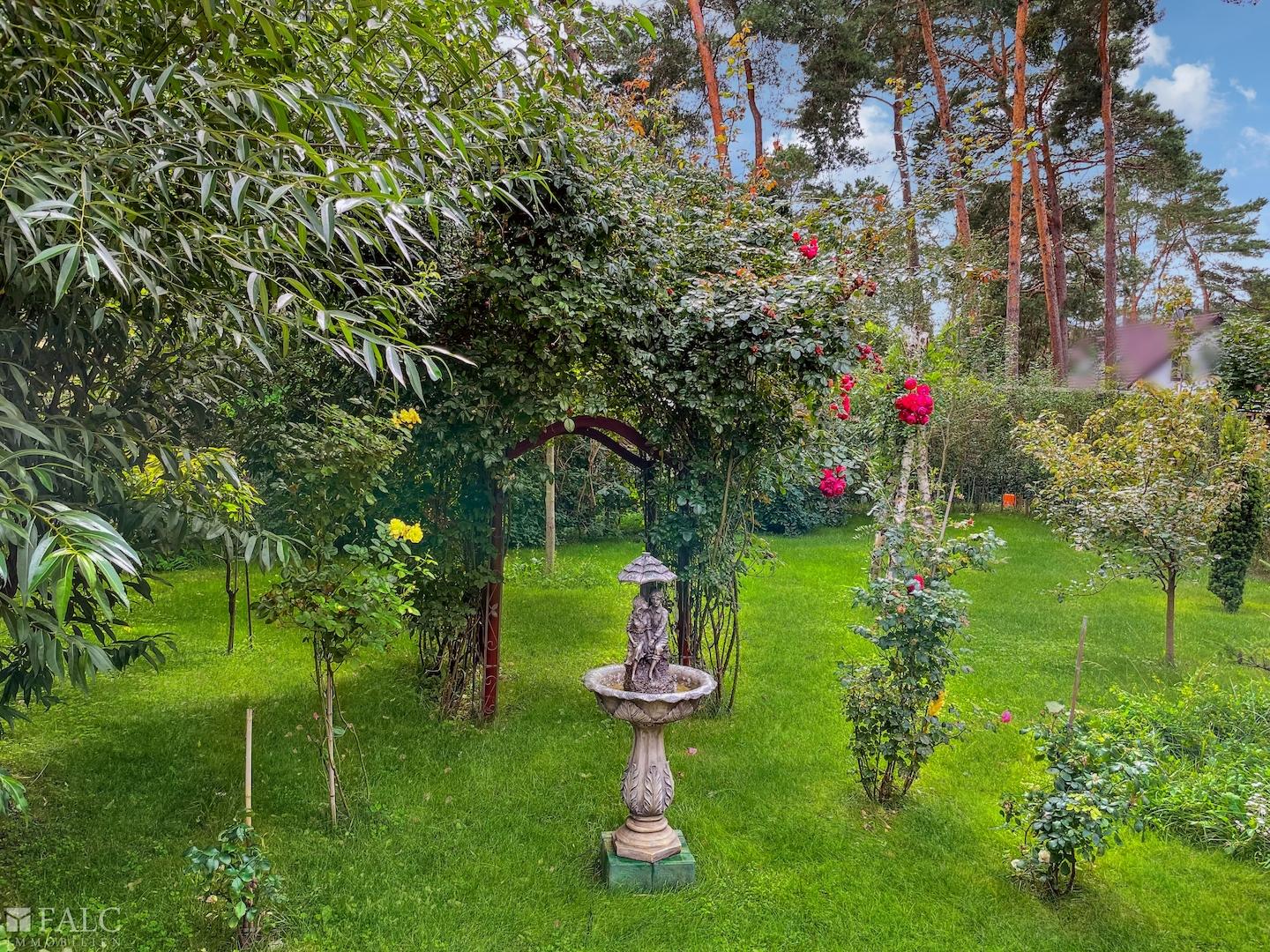 Garten Bild 1
