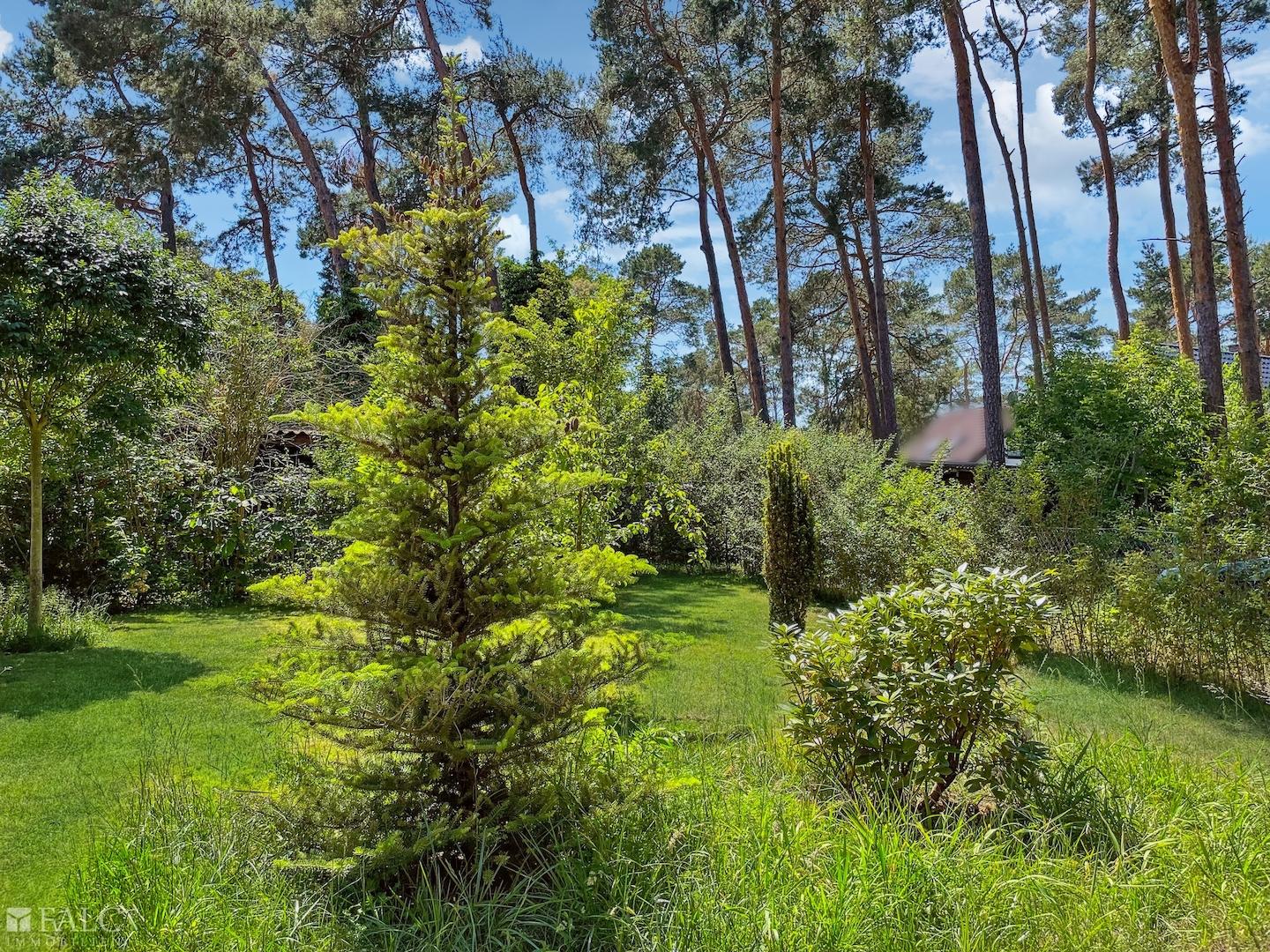Garten Bild 2