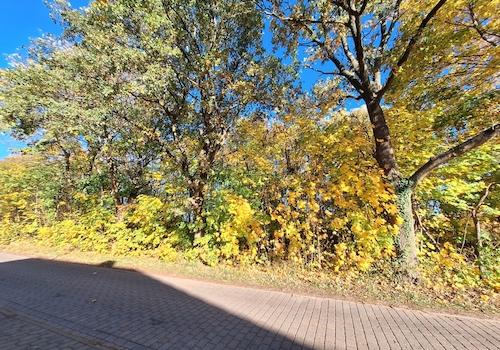 Blick auf das Grundstück