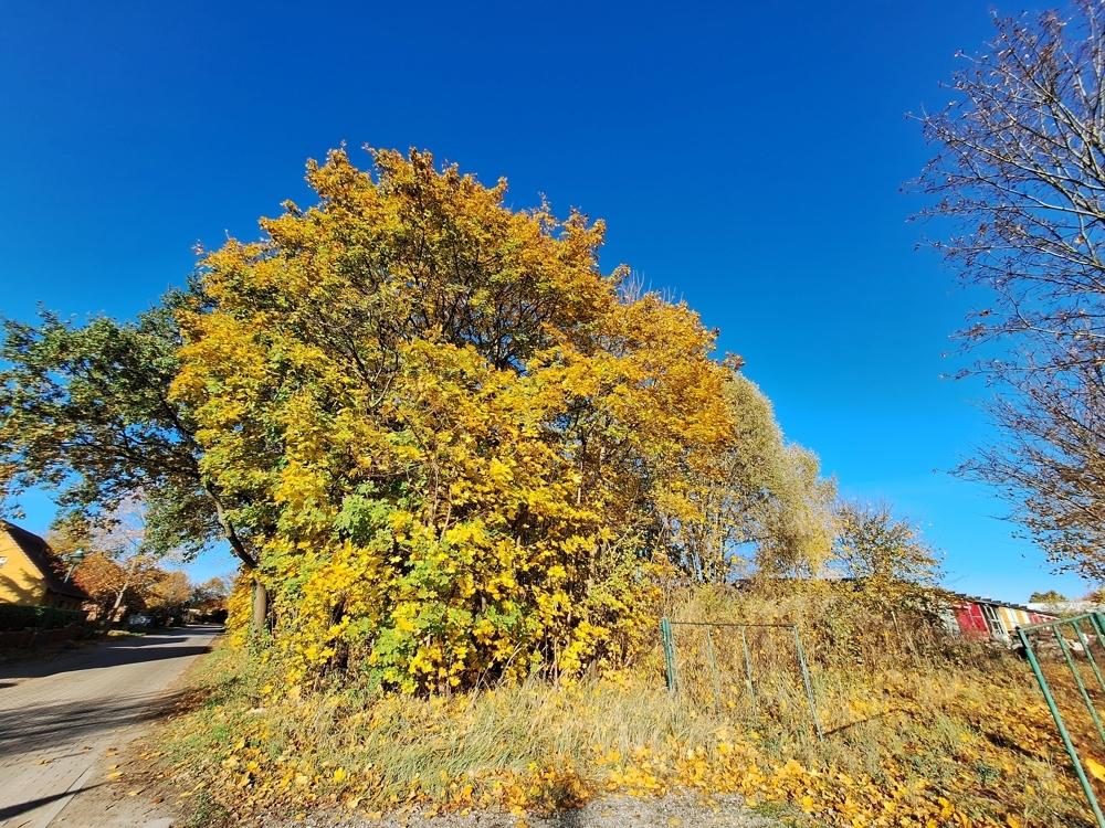 Blick auf das Grundstück