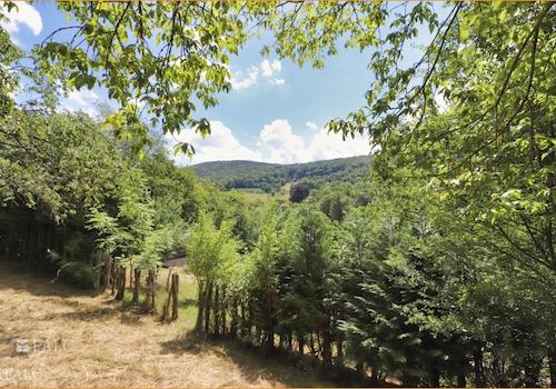 Südseite des Grundstückes