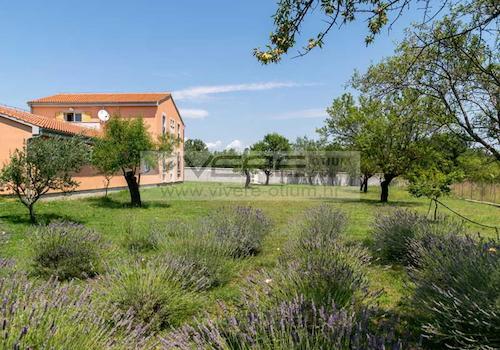 Garten hinter dem Hauptgebäude