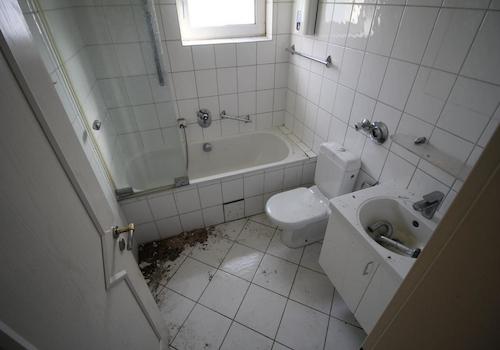 Bild...