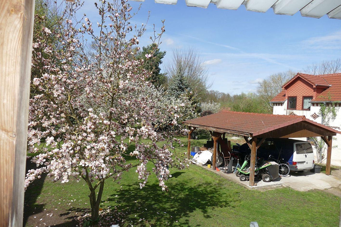 Aussicht Carport