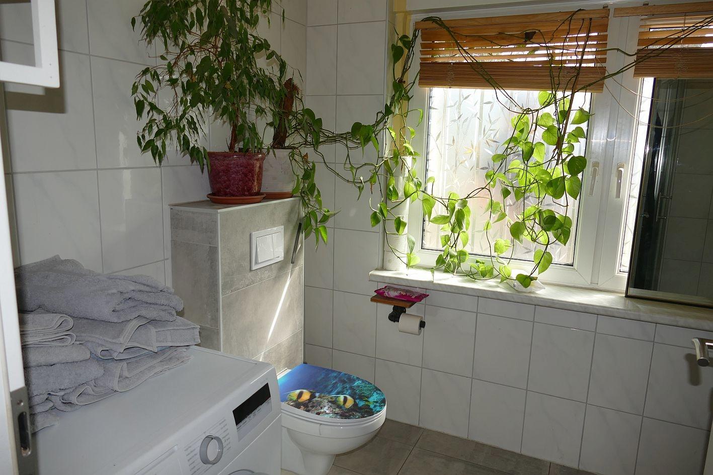 2. Bad & WC