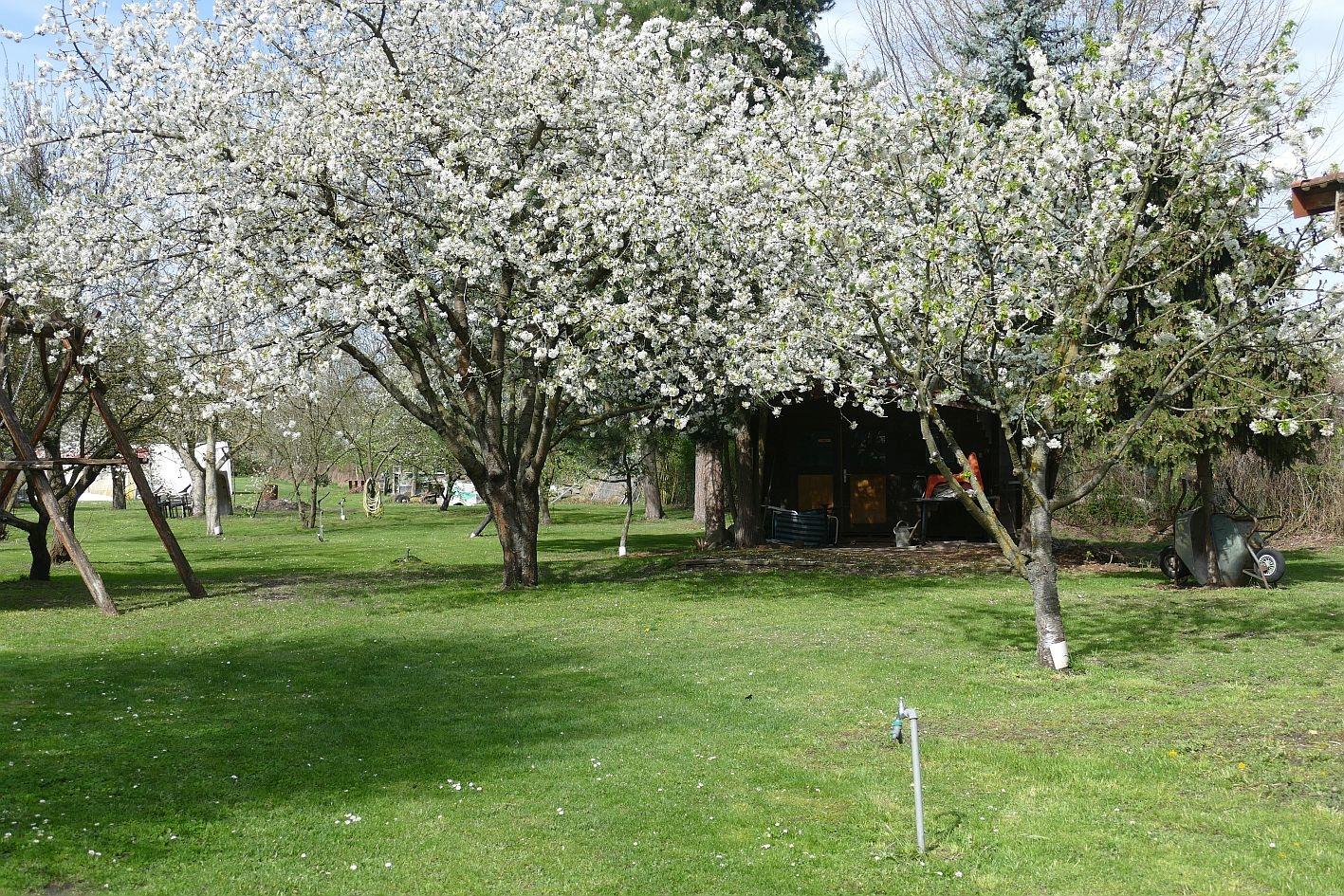 Garten mit Häuschen