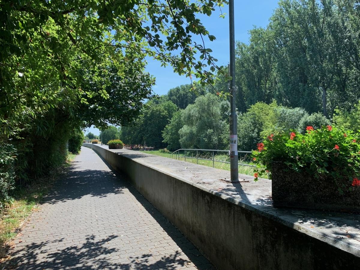 Weg zum Spielplatz und Fahrradweg 