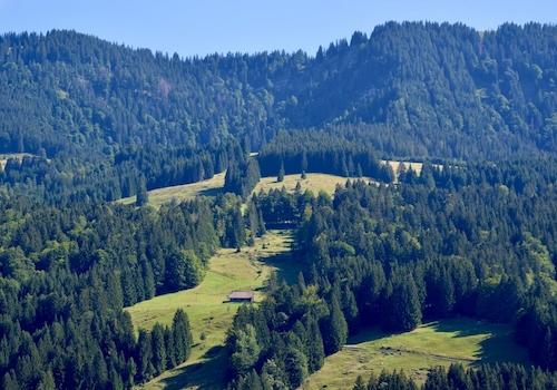 Blick Richtung Thalkirchdorf
