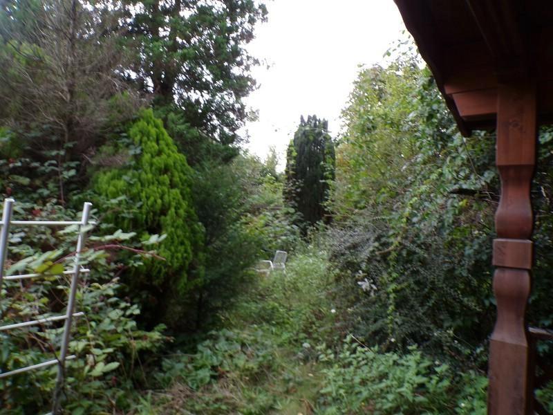 4a Fläche am Holzgartenhaus (mittlerer Bereich)