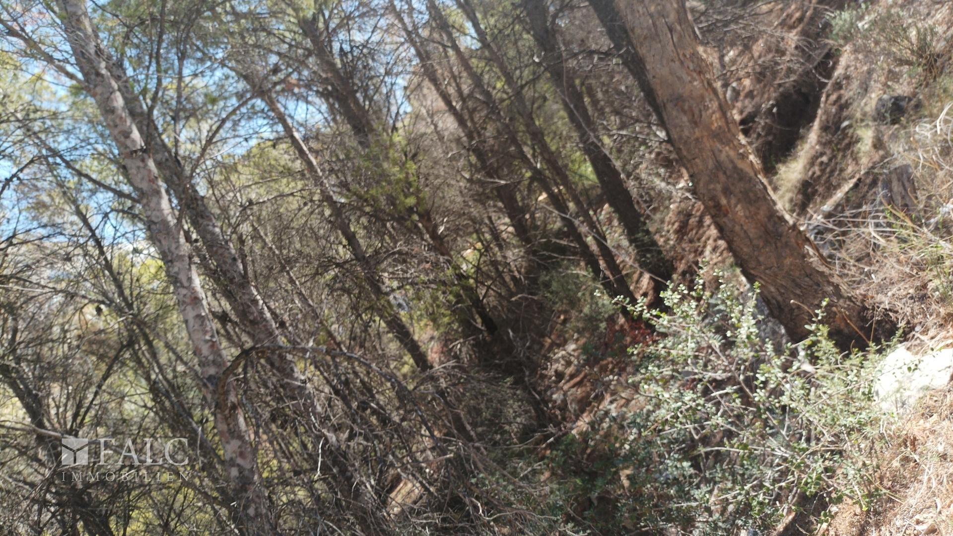 IMG_20240906_121601_BURST1