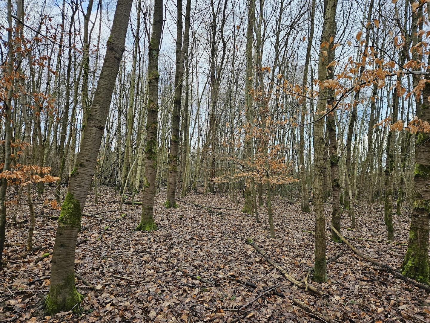 Freizeit