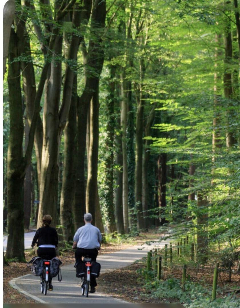 Ferienhaus Holland kaufen 002