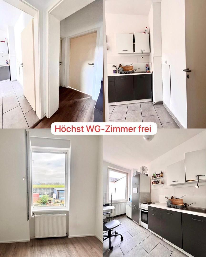 Frankfurt Höchst - WG