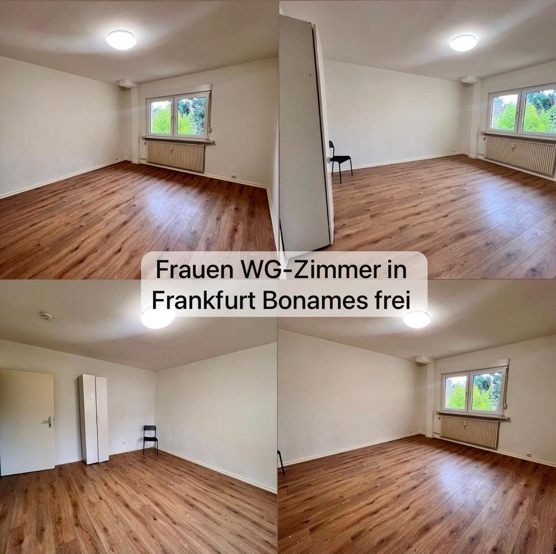  Frankfurt Bonames - WG