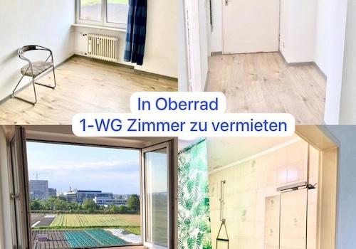 Frankfurt Oberrad- WG