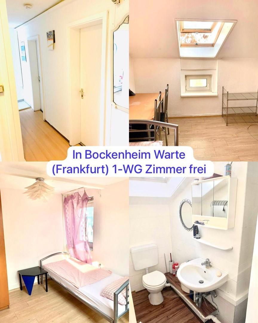 Frankfurt Bockenheim - WG