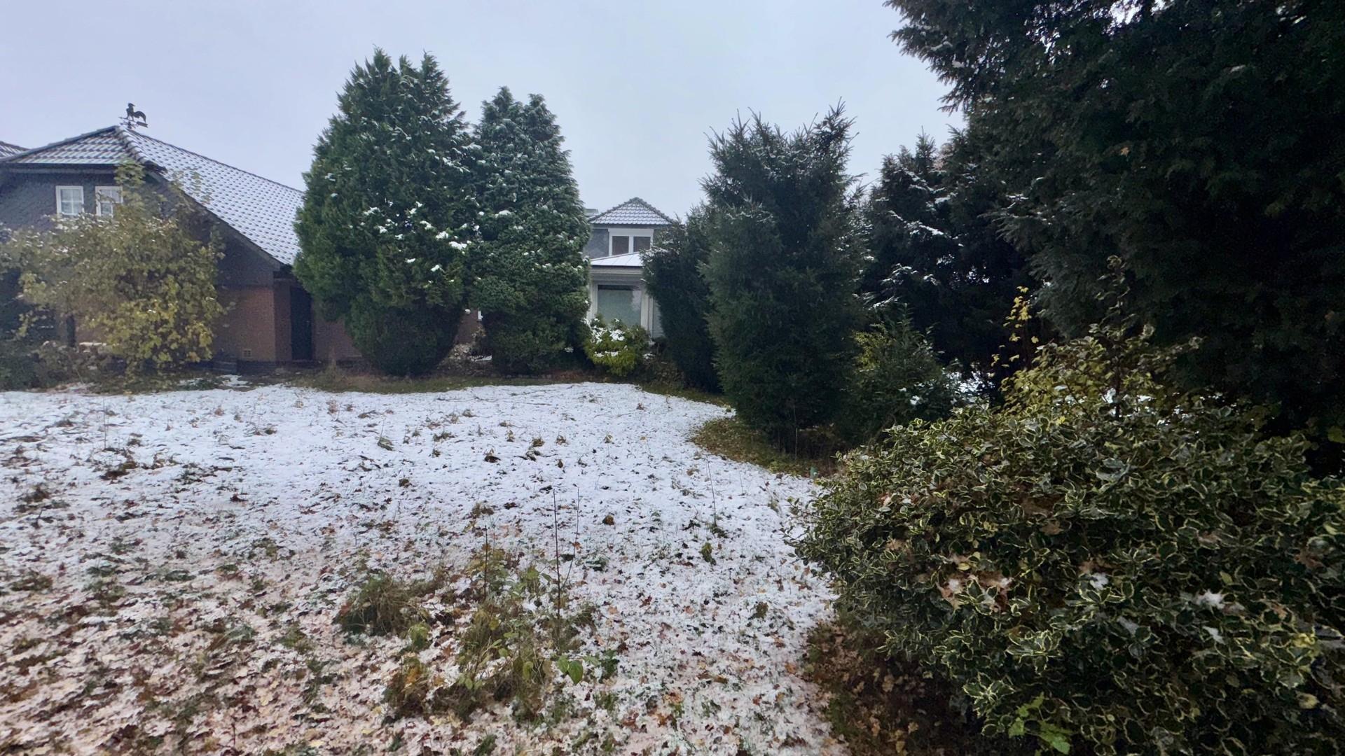 Teil des großen Gartens