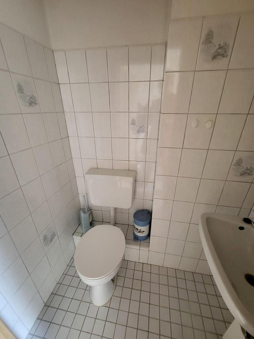 Gäste WC Dach