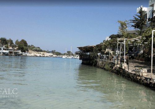 Bilder aus der Region