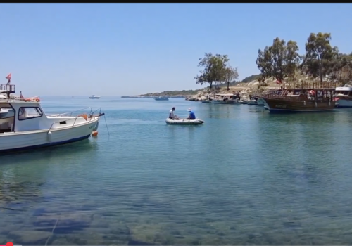 Bilder aus der Region