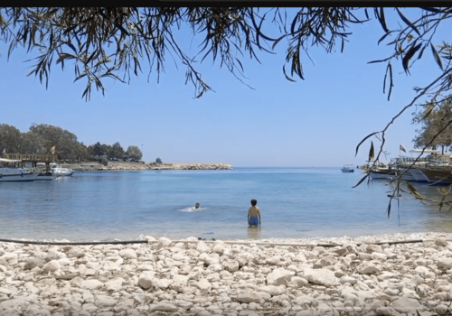 Bilder aus der Region