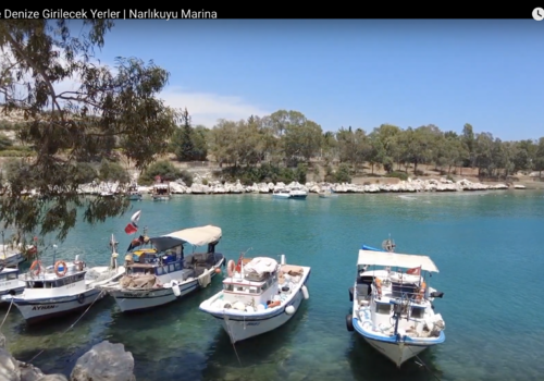 Bilder aus der Region