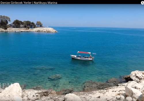 Bilder aus der Region