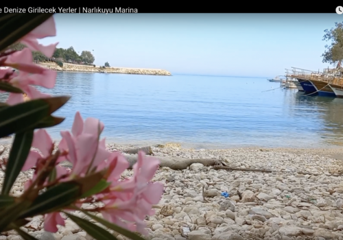 Bilder aus der Region