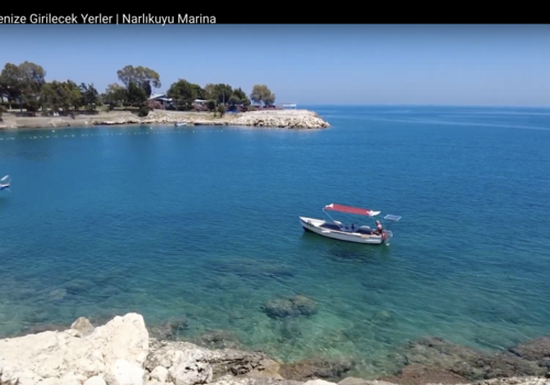 Bilder aus der Region