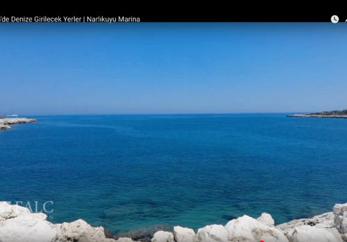 Bilder aus der Region