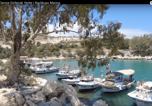 Bilder aus der Region