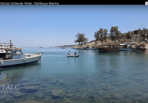 Bilder aus der Region