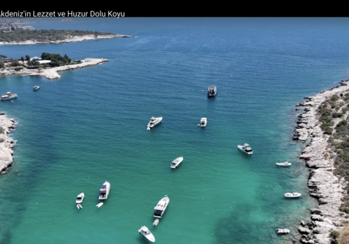 Bilder aus der Region