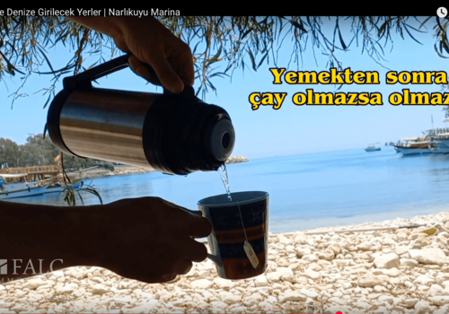 Bilder aus der Region