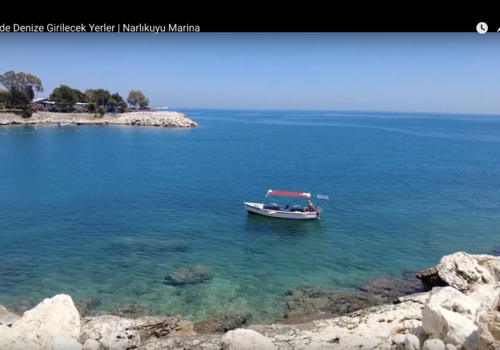 Bilder aus der Region