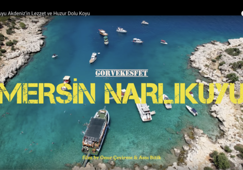 Bilder aus der Region