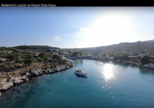 Bilder aus der Region